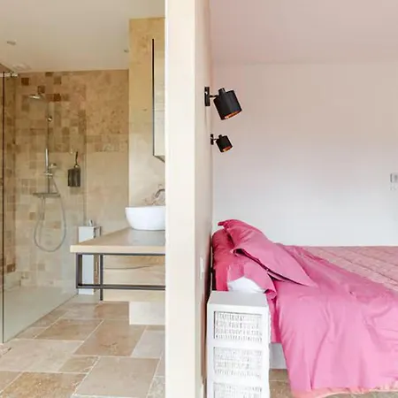 Maison D'architecte Avec Piscine Chauffee Et Parc Securise - Fr-1-410-487